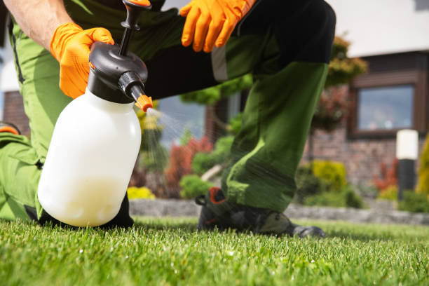 Best Mosquito Control Services  in Lloyd Harbor, NY