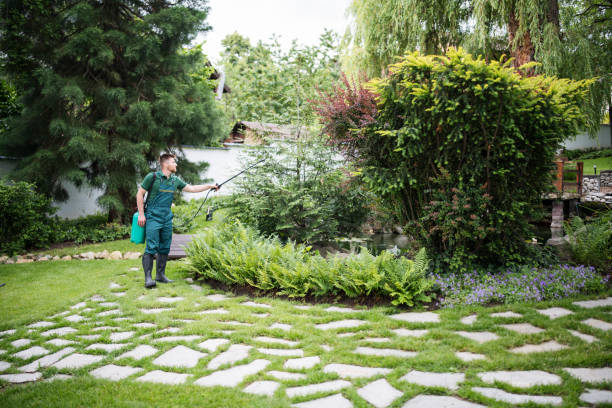 Best Ant Control Services  in Lloyd Harbor, NY
