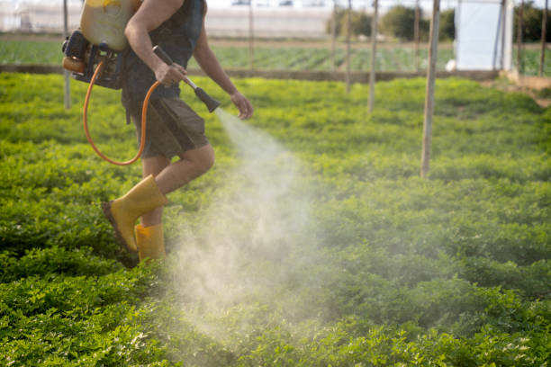 Best Pest Prevention Services  in Lloyd Harbor, NY