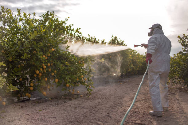 Best Insect Control  in Lloyd Harbor, NY