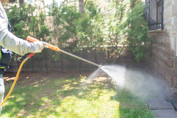 Wasp Removal Services in Lloyd Harbor, NY