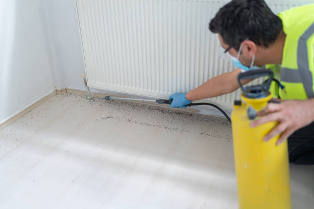 Best Emergency Pest Control  in Lloyd Harbor, NY