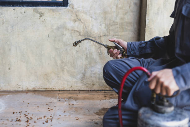 Best Exterminator Services  in Lloyd Harbor, NY